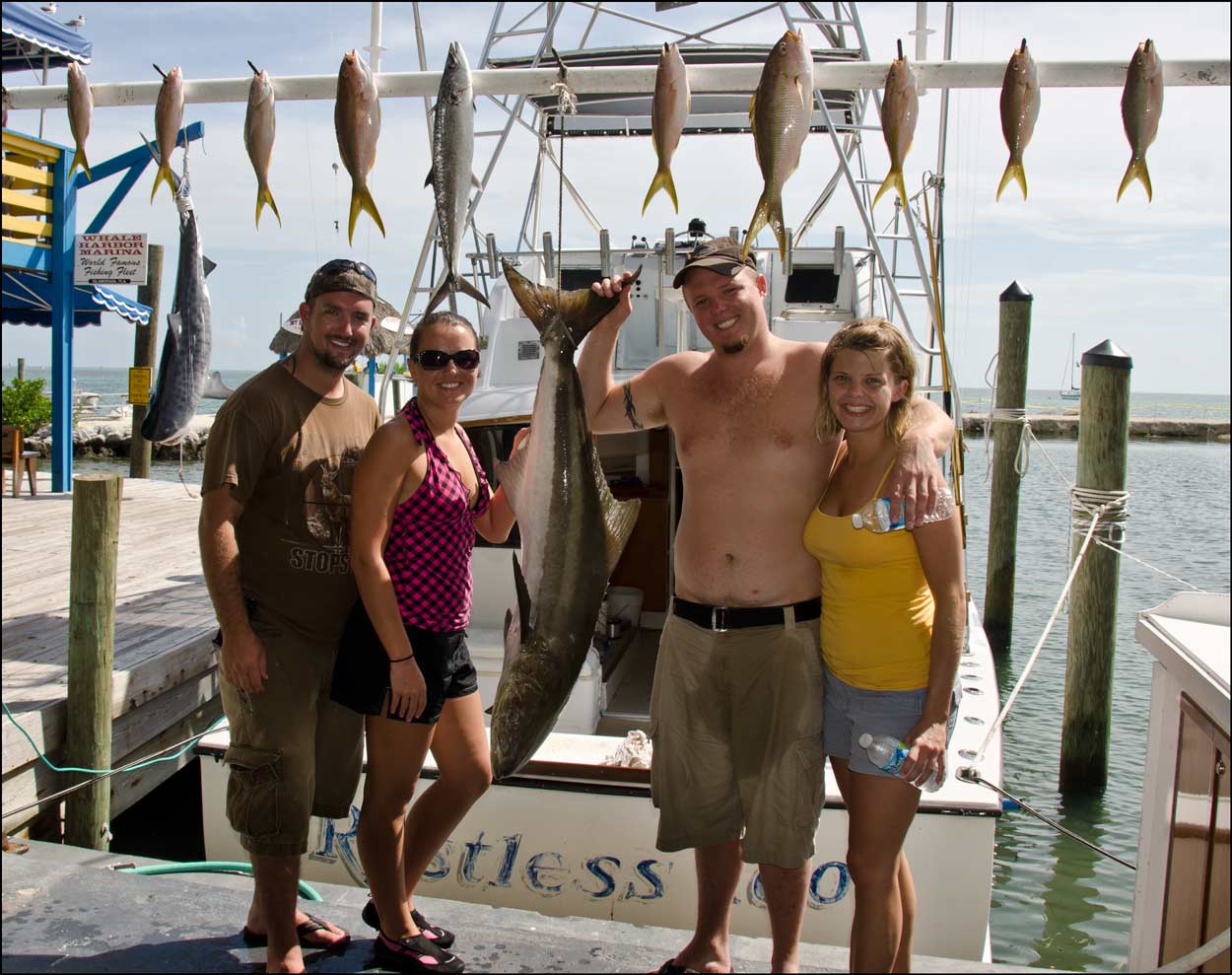 Yellowtail Snapper, Kingfish and a 40# Cobia 