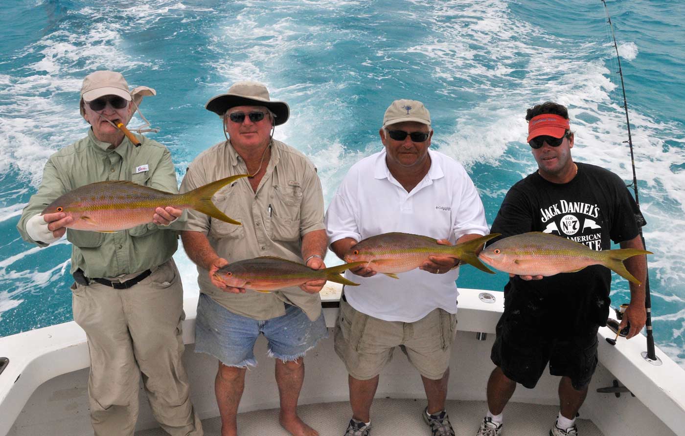 Yellowtail snapper don't get much larger than these!