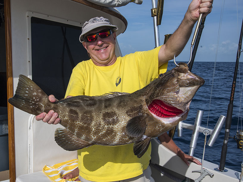 25 LB Black Grouper caught by Tom Radon from NC. Grouper season opens every year from May 1 until Dec 31