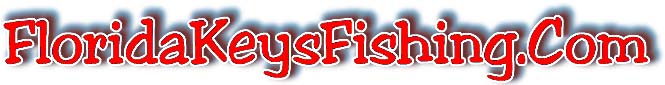 floridakeysfishingcom.JPG (11932 bytes)